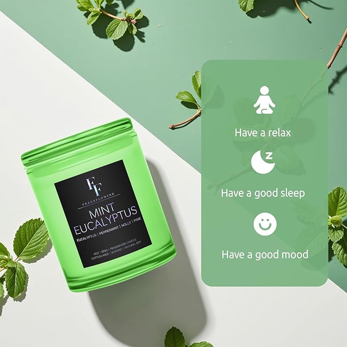 Mint Eucalyptus Scented Candle, 2-Wick Luxury Soy Wax Candle, 9 oz Aromatherapy Candle Home Fragrance Candles Gift