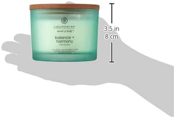 Chesapeake Bay Candle Scented Candle Balance + Harmony (Water Lily Pear) Coffee Table Home Décor