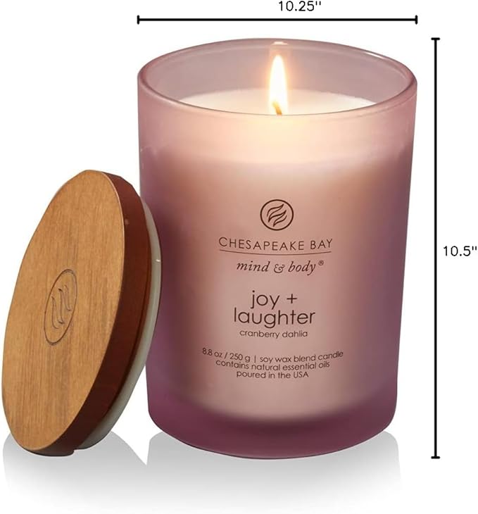 Chesapeake Bay Candle Medium Jar Candles | Joy + Laughter (Cranberry Dahlia) and Confidence + Freedom (Oak Moss Amber) 2 Count Home Décor