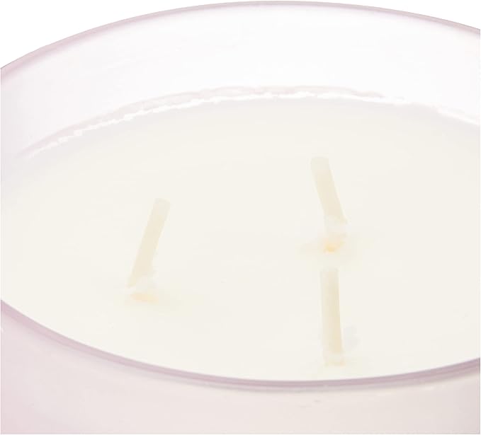 Chesapeake Bay Candle Scented Candle, Joy + Laughter (Cranberry Dahlia), Coffee Table, Home Décor (Pack of 2)