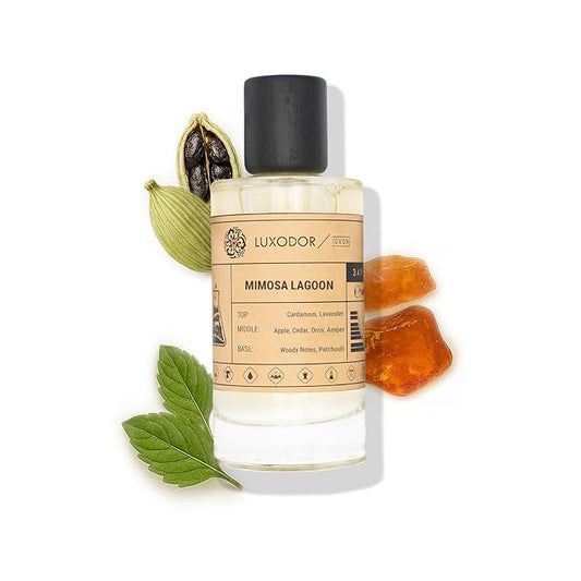 Mimosa Lagoon - Eau de Parfum - Inspired by CHNL. Mademoiselle - Women Fragrance Long-lasting 3.4 fl. oz (100ml)