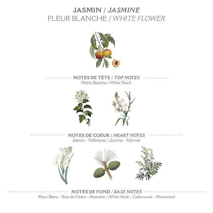 Panier des Sens - Hand Cream for Dry Cracked Hands - Jasmine Hand Lotion with Olive & Almond Oil - Vitamin E Skin Moisturizer with 97% Natural Ingredients - Made in France, 2.5 fl oz