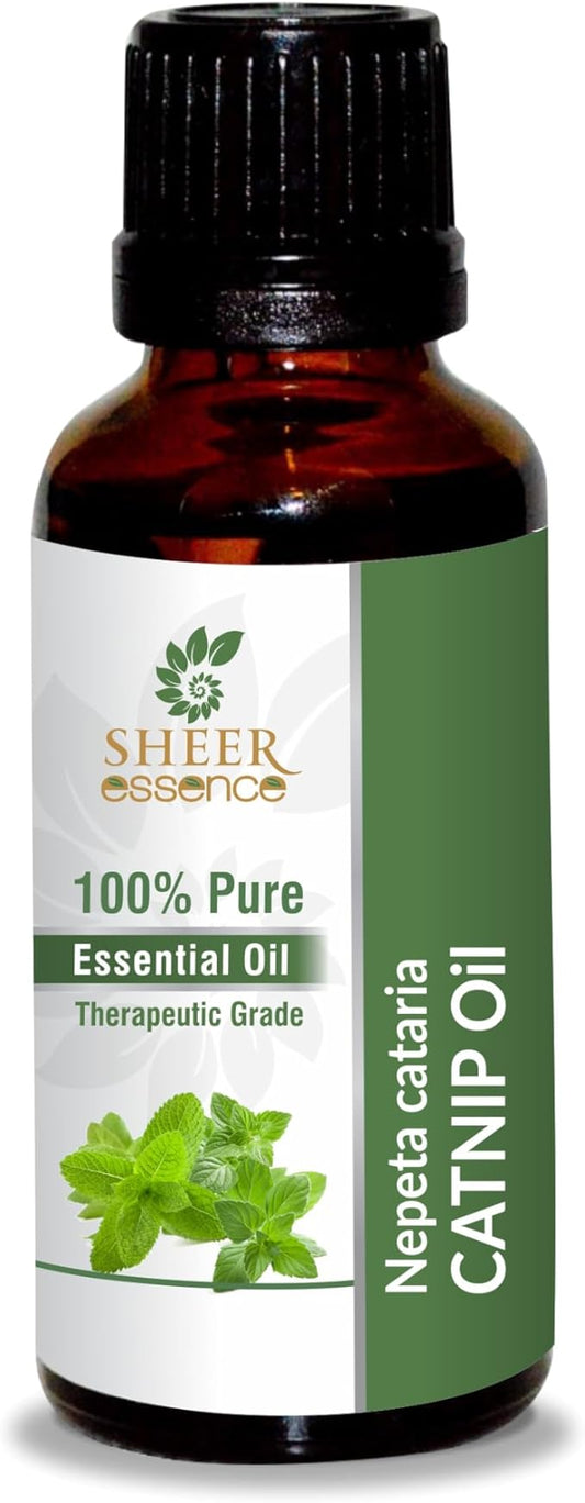 Catnip Oil (Nepeta Cataria) Essential Oil 100% Pure Natural Undiluted Uncut Therapeutic Grade Oil 1.69 Fl.OZ