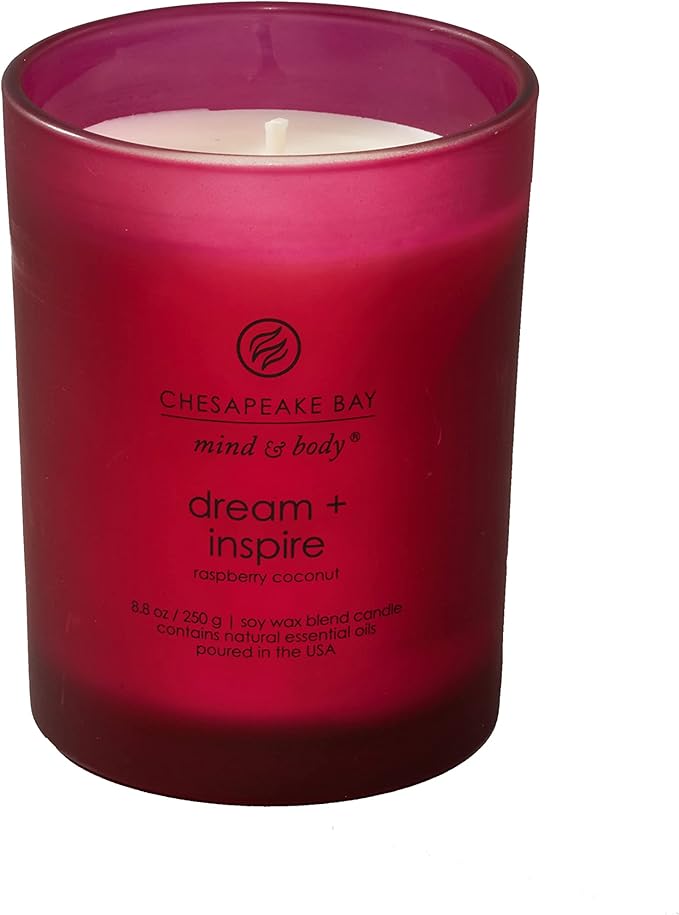 Chesapeake Bay Candle PT41689 Candle Medium Jar Dream & Inspire Home Décor