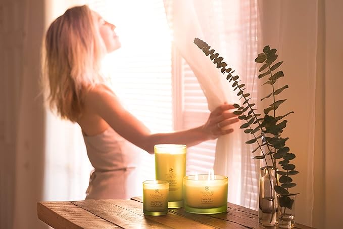 Chesapeake Bay Candle Scented Candle, Awaken + Invigorate (Lemongrass Eucalyptus), Coffee Table