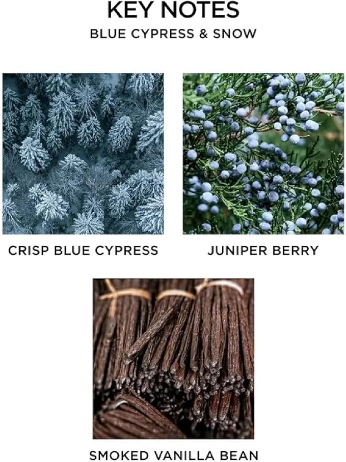 NEST New York Scented 3-Wick Candle, Blue Cypress & Snow - 21.2 oz - Up to 100-Hour Burn Time - Reusable Glass Vessel