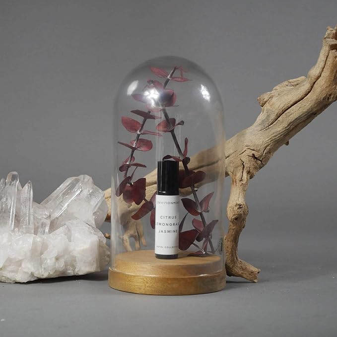 ENVIRONMENT Inspired by Designer Perfume DYPT Baies 10ml Roll-on Perfume (Baies | Currants | Quince) Body Oil Fragrance, Roll On Oil, Body Fragrance for Women & Men, Luxury Scent, Vegan & Cruelty-Free