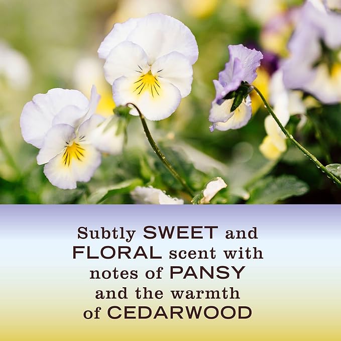 MRS. MEYER'S CLEAN DAY Room and Air Freshener Spray, Non-Aerosol Spray Bottle Infused with Essential Oils, Compassion Flower, 8 fl. oz - Pack of 3