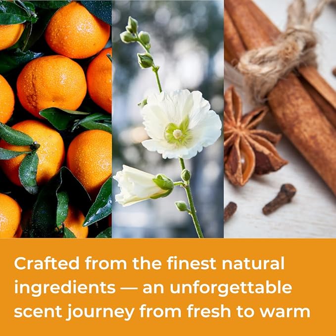 Extreme Intense Eau de Parfum – Long-Lasting Woody and Citrus Fragrance for Men – 100mL Perfume Spray with Bonus 15mL Perfume Sample (Randomly Selected)