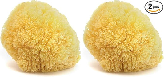 Neptune Caribbean Sea Sponge, Hand Cut, Large, Approx. 6-7 inches (Pack of 2)