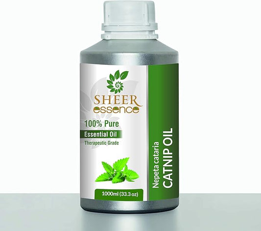 Catnip Essential Oil 10000ml