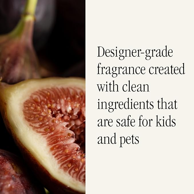 Pura x Studio McGee Home Scent Refill - Smart Air Diffuser - Up to 120-Hours of Luxury Fragrance per Refill - Home Essential - Clean & Safe Diffuser Fragrance - 2 Pack, Violet Fig