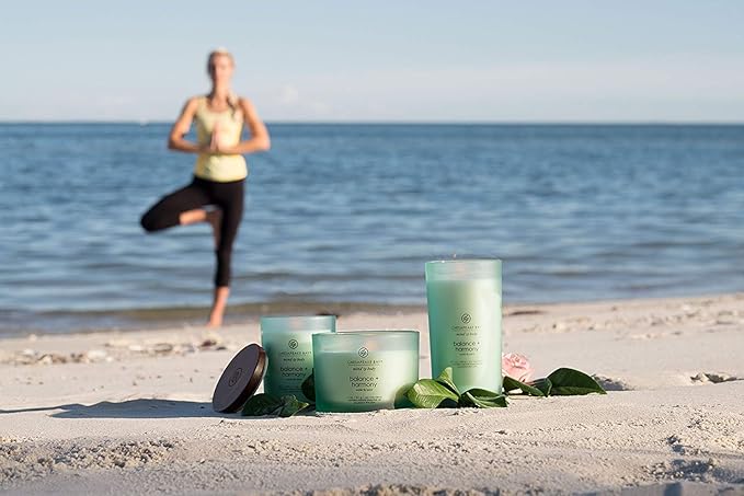 Chesapeake Bay Balance + Harmony Scented Candles Water Lily Pear Fragrance Medium Size Natural Soy Wax 50 Hours Burn Time Pack of 2