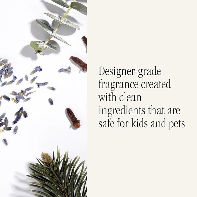 PuraHome Scent Refill - Smart Home Air Diffuser - Up to 120-Hours of Luxury Fragrance per Refill - Home Essential - Clean & Safe Diffuser Fragrance - 2 Pack, Banana Birch