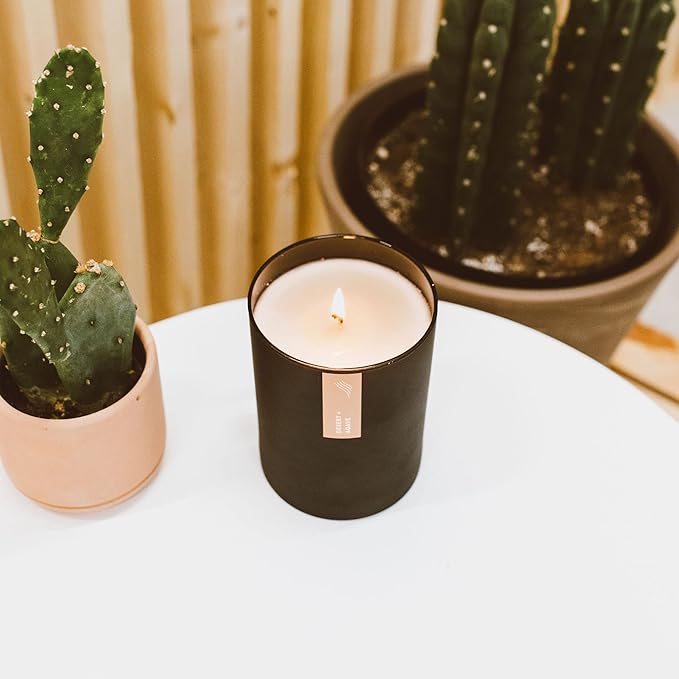 Calyan Wax Co. Desert & Agave Scented Candle - 75 Hour Burn - Luxury Non Toxic Soy Wax Candles - Long Lasting Black Tumbler Jar Candle for Home - 10.2oz