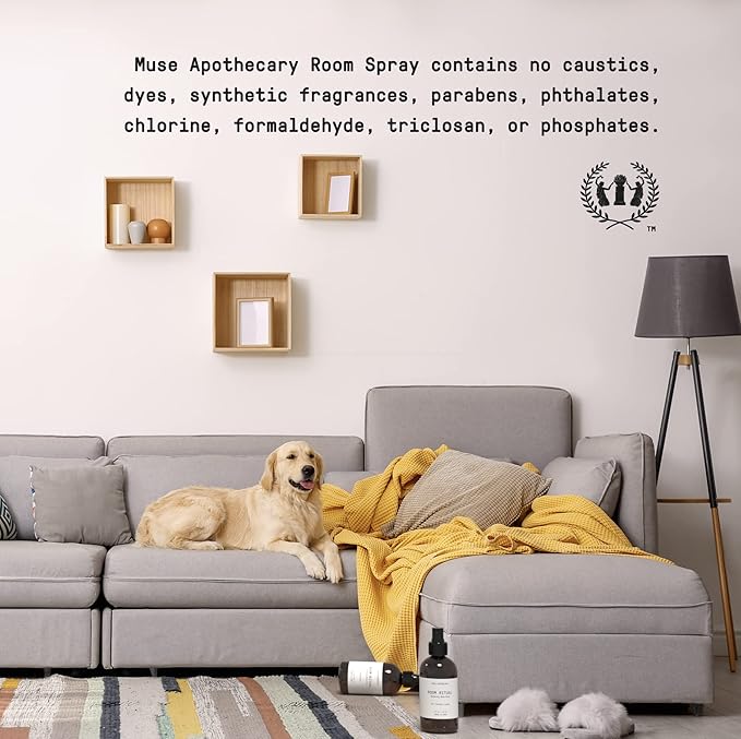 Muse Apothecary Room Ritual - Aromatic and Relaxing Room Mist, 8 oz, Infused with Natural Essential Oils - Aloe + Eucalyptus + Lavender