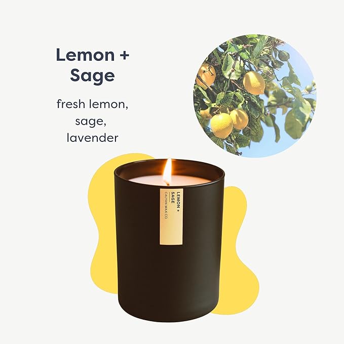 Calyan Wax Co. Passionfruit & Ginger Scented Candle - 75 Hour Burn - Luxury Non Toxic Soy Wax Candles - Long Lasting Black Tumbler Jar Candle for Home - 10.2oz