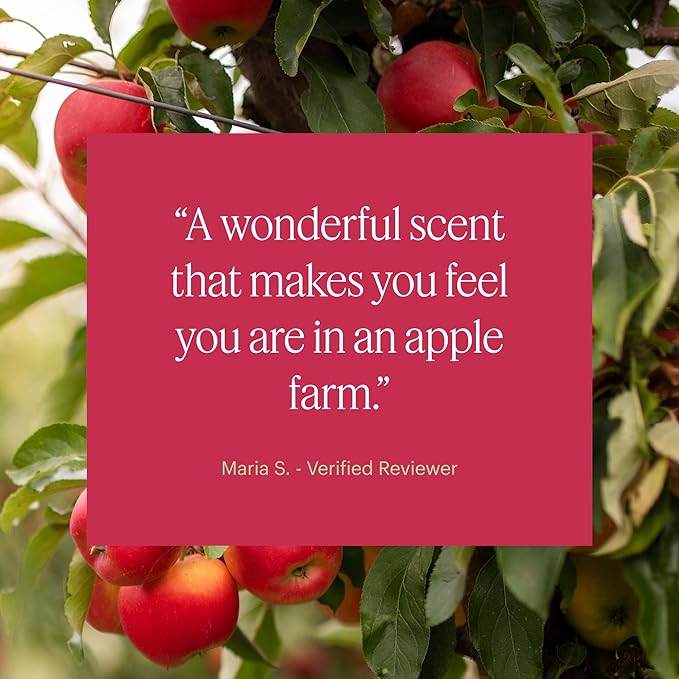 Aera Apple Orchard - Essential Oil for Home - Fruity Crisp Fragrance - Notes of Macintosh Apple and Orchard Leaves - Scent Refill - Capsule Size Works with Mini Diffuser