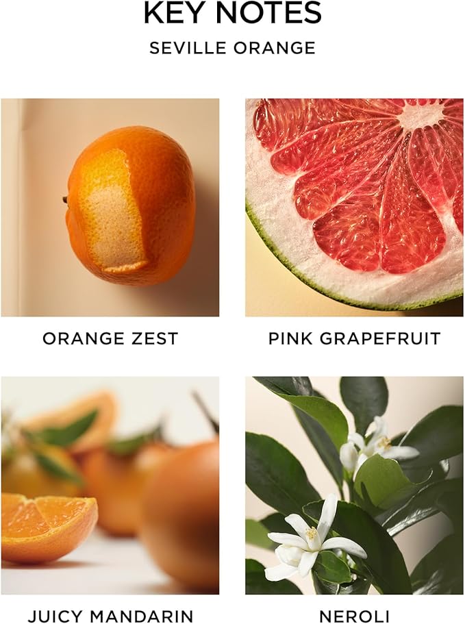 NEST New York Seville Orange Perfume Oil (Full Size) - 30 mL - Vegan & Cruelty Free