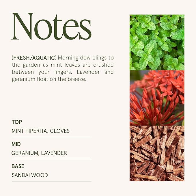 LA JOLIE MUSE Geranium Vert Mint Candle - Mint, Geranium, Lavender | 6 oz Natural Soy Wax | 40 Hours Clean Burn | Fresh Scented Candle | Gift-Ready for Hosts & Gatherings