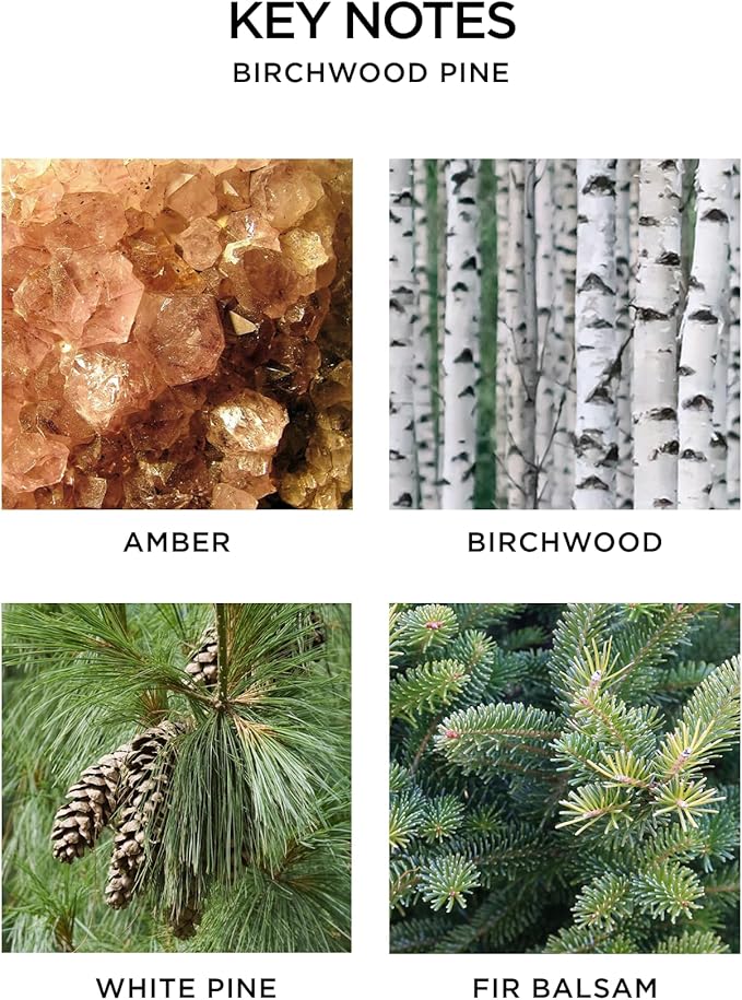 NEST New York Scented 3-Wick Candle, Birchwood Pine - 21.2 oz - Up to 100-Hour Burn Time - Reusable Glass Vessel