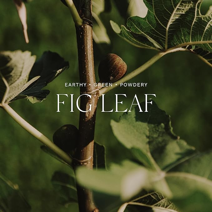 Antica Farmacista Room Spray - Green Fig, 3.4 Fl Oz (Pack of 1)