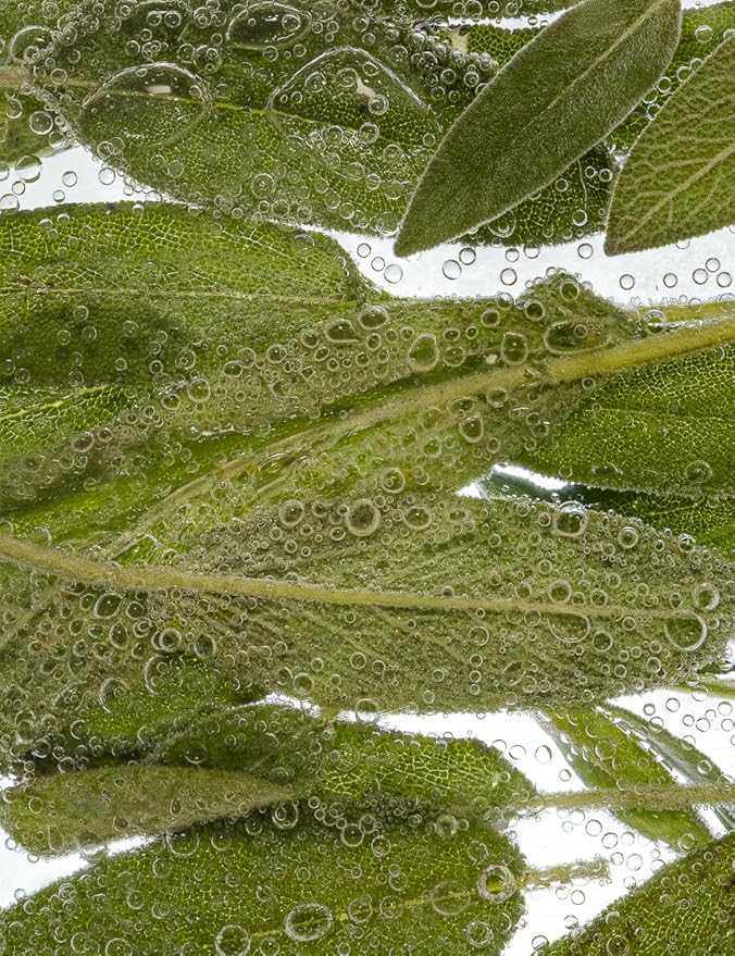 Sea Salt & Sage – Organic Perfume Mist, MADESAFE® – GREEN | FRESH | SALTY – 0.33 oz Fragrance EDP