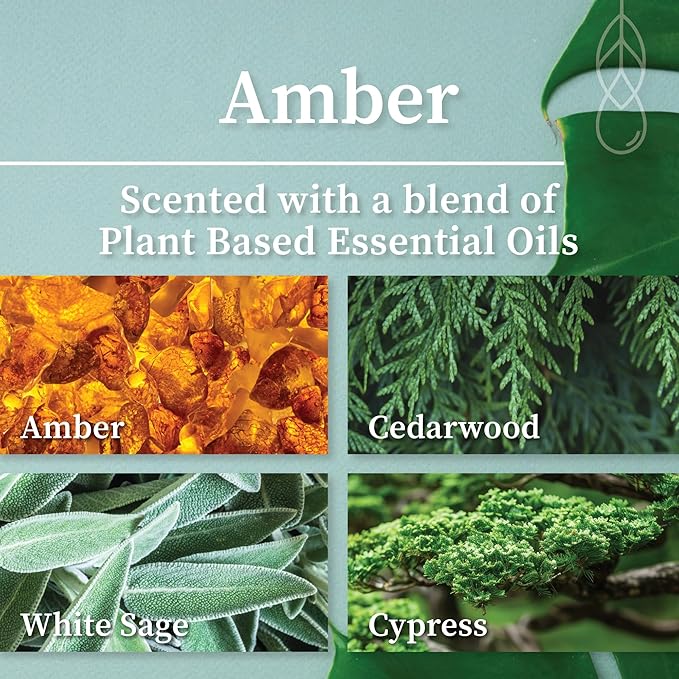 Hemlock Park Amber & Gold Wood Wick Candle Handcrafted with Natural Coconut Wax (Standard 7.2 oz, Amber)