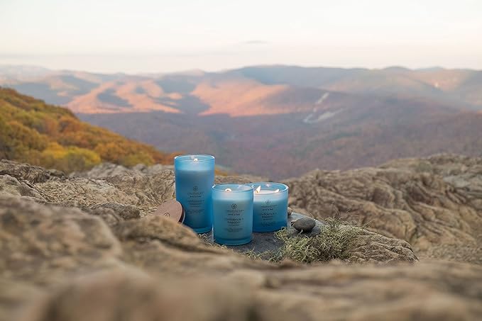 Chesapeake Bay Candle Scented Candle, Confidence + Freedom (Oak Moss Amber), Medium, Home Décor