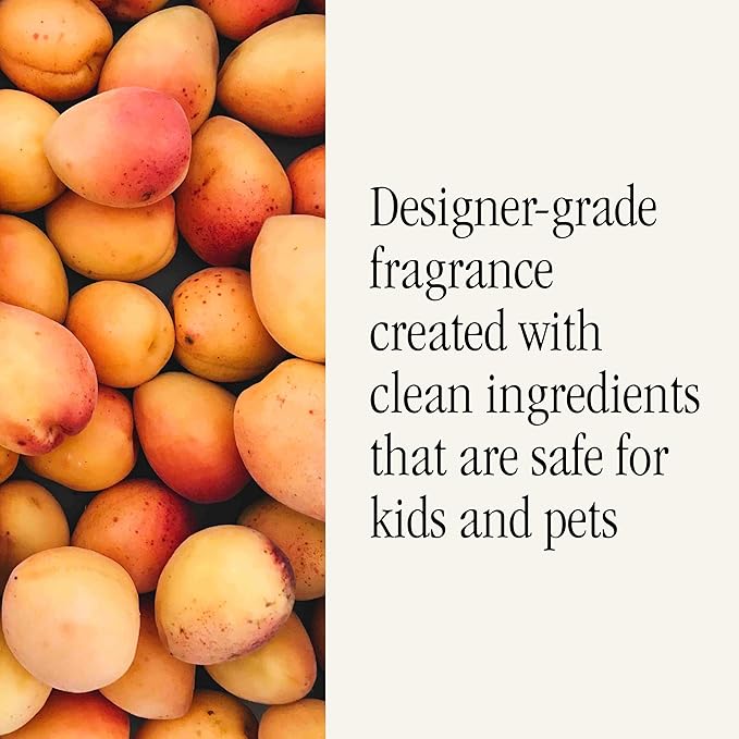 Pura Home Scent Refill - Smart Home Air Diffuser - Hours of Luxury Fragrance per Refill - Home Essential - Clean & Safe Diffuser Fragrance - 2 Pack, Simmer Pot