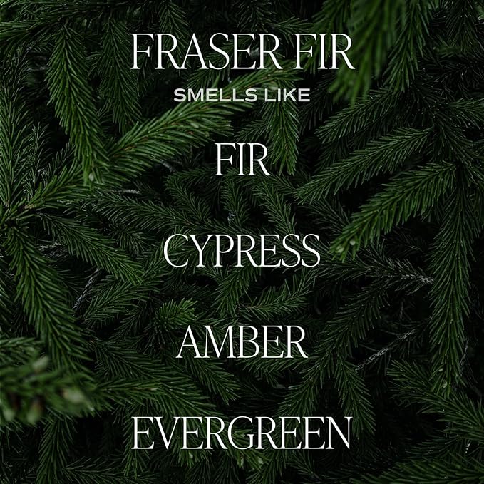 Sweet Water Decor Fraser Fir Christmas Candles - Christmas Stocking Stuffers Cypress, Evergreen & Pine Scented Candles - Scented Candles with 40 Hrs Burn Time - 9Oz Black Lid Amber Jar Wax Candles
