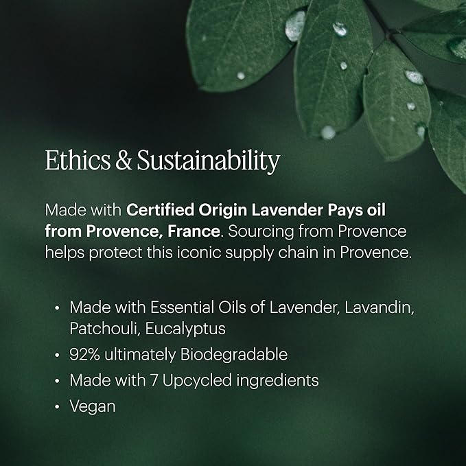 Aera Mini Lavender - Essential Oil for Home - Calming and Meditative Fragrance - Notes of Lavender, Chamomile and Cedar Leaf- Scent Refill - Capsule Size Works with Mini Diffuser