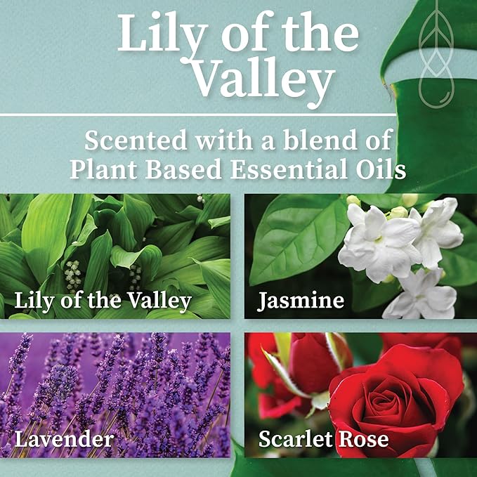 Hemlock Park Amber & Gold Wood Wick Candle Handcrafted with Natural Coconut Wax (Standard 7.2 oz, Lily of The Valley)