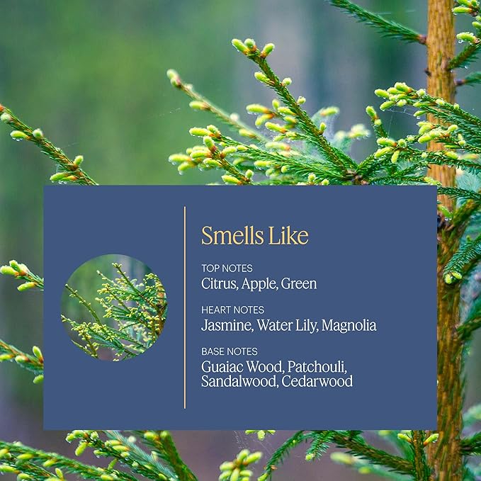 Aera Mini Indigo - Essential Oil for Home - Crisp Apple and Cedarwood Fragrance - Notes of Citrus, Jasmine and Sandalwood- Scent Refill - Capsule Size Works with Mini Diffuser