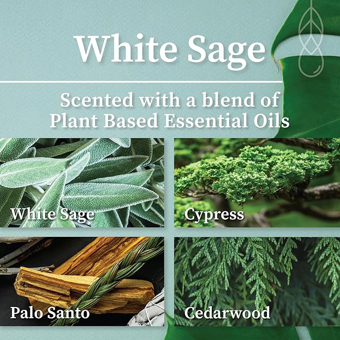 Hemlock Park Amber & Gold Wood Wick Candle Handcrafted with Natural Coconut Wax (Standard 7.2 oz, Sage)