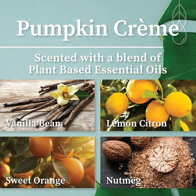 Hemlock Park Amber & Gold Wood Wick Candle Handcrafted with Natural Coconut Wax (Standard 7.2 oz, Pumpkin Crème)