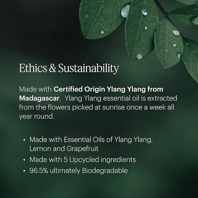 Aera Mini Vibrance - Essential Oil for Home - Lively and Refreshing Fragrance - Notes of Tropical Florals, Grapefruit and Amber - Scent Refill - Capsule Size Works with Mini Diffuser