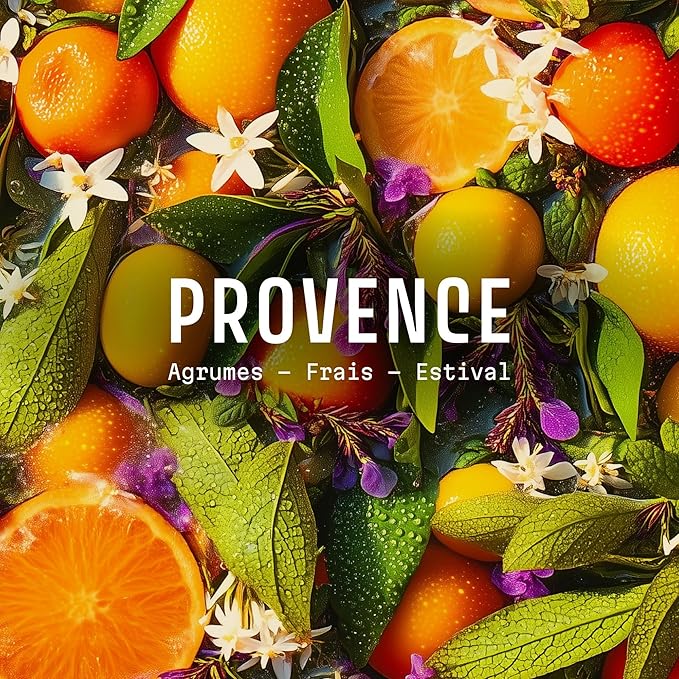 Panier des Sens – Provence Citrus Eau de Toilette 1.7 Floz – Fresh & Fruity Fragrance - Daily Light Perfume for Women - Parfum Crafted in Grasse, France - Gifts for Her - Elegant Packaging